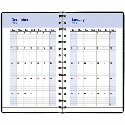 At-A-Glance QuickNotes Appointment Book Planner (760405)