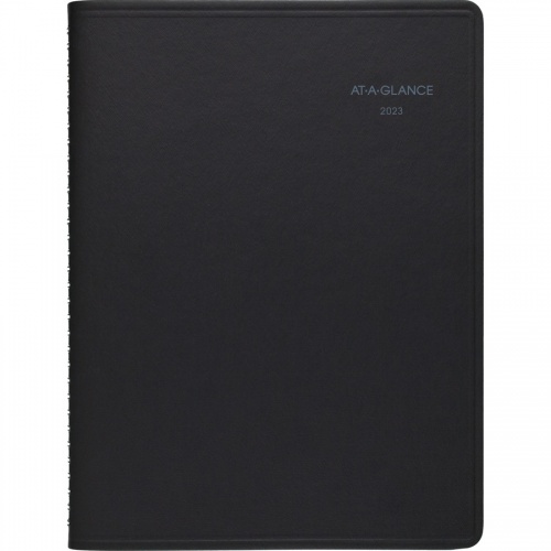 AT-A-GLANCE QuickNotes Appointment Book (7695005)