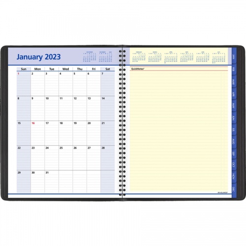 AT-A-GLANCE QuickNotes Appointment Book (7695005)