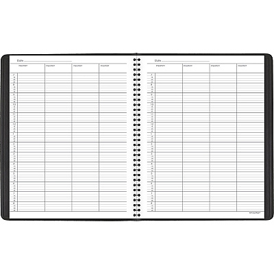 AT-A-GLANCE 4-Person Undated Daily Appointment Book (AAG8031005)