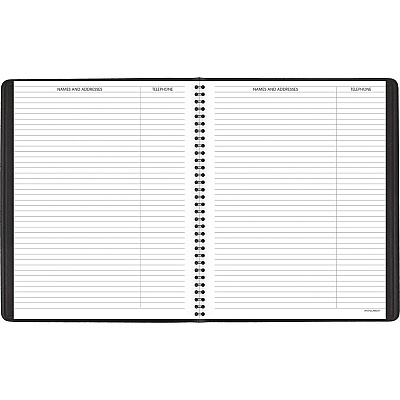 AT-A-GLANCE 4-Person Undated Daily Appointment Book (AAG8031005)