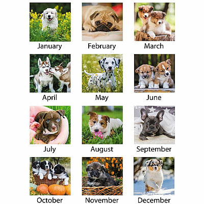 AT-A-GLANCE Puppies Monthly Desk Pad Calendar, Puppies Photography, 22 x 17, White Sheets, Clear Corners, 12-Month (Jan to Dec): 2026 (DMD16632)