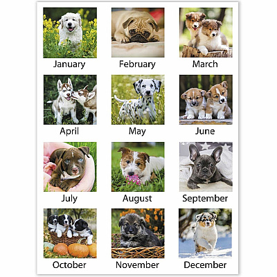 AT-A-GLANCE Puppies Monthly Wall Calendar, Puppies Photography, 15.5 x 22.75, White/Multicolor Sheets, 12-Month (Jan to Dec): 2026 (DMW16728)