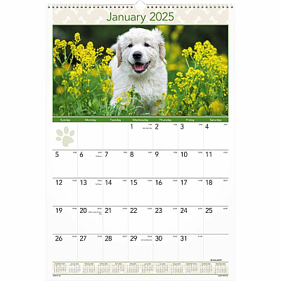 AT-A-GLANCE Puppies Monthly Wall Calendar, Puppies Photography, 15.5 x 22.75, White/Multicolor Sheets, 12-Month (Jan to Dec): 2026 (DMW16728)