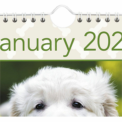 AT-A-GLANCE Puppies Monthly Wall Calendar, Puppies Photography, 15.5 x 22.75, White/Multicolor Sheets, 12-Month (Jan to Dec): 2026 (DMW16728)