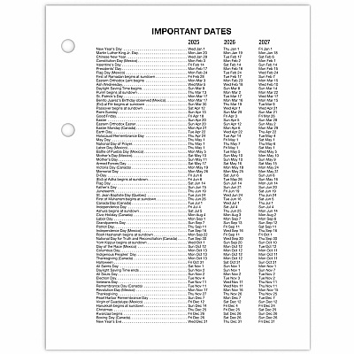 At-A-Glance Loose-Leaf Desk Calendar Refill (E91950)