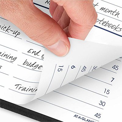 AT-A-GLANCE DayMinder Daily Appointment Book, 8.5 x 5.5, Black Cover, 12-Month (Jan to Dec): 2026 (G10000)