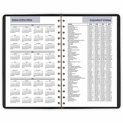 AT-A-GLANCE DayMinder Daily Appointment Book, 8.5 x 5.5, Black Cover, 12-Month (Jan to Dec): 2026 (G10000)