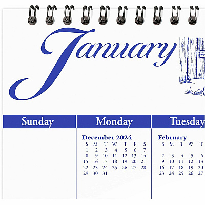 AT-A-GLANCE Illustrator's Edition Wall Calendar, Victorian Illustrations Artwork, 12 x 12, White/Blue Sheets, 12-Month (Jan to Dec): 2026 (G100017)