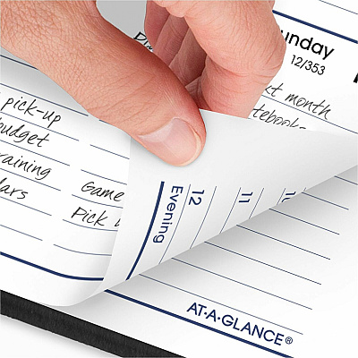 AT-A-GLANCE DayMinder Block Format Weekly Appointment Book, Tabbed Telephone/Add Section, 8.5 x 5.5, Black, 12-Month (Jan to Dec): 2026 (G21000)