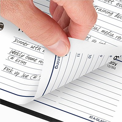 AT-A-GLANCE DayMinder Weekly Pocket Appointment Book with Telephone/Address Section, 6 x 3.5, Black Cover, 12-Month (Jan to Dec): 2026 (G25000)