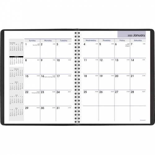 AT-A-GLANCE DayMinder Monthly Planner (G40000)