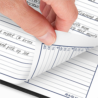 AT-A-GLANCE DayMinder Weekly Appointment Book, Vertical-Column Format, 11 x 8, Black Cover, 12-Month (Jan to Dec): 2026 (G52000)