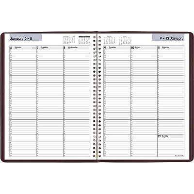 AT-A-GLANCE DayMinder Weekly Appointment Book, Vertical-Column Format, 11 x 8, Burgundy Cover, 12-Month (Jan to Dec): 2026 (G52014)