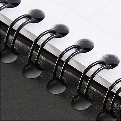 AT-A-GLANCE DayMinder Hardcover Weekly Vertical-Column Format Appointment Book, 11 x 8, Black Cover, 12-Month (Jan to Dec): 2026 (G520H00)