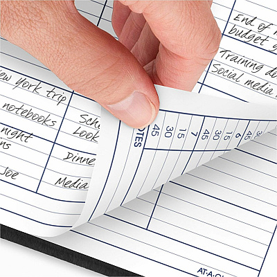 AT-A-GLANCE DayMinder Four-Person Group Daily Appointment Book, 11 x 8, Black Cover, 12-Month (Jan to Dec): 2026 (G56000)