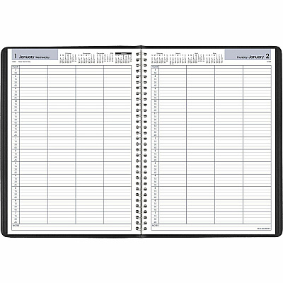 AT-A-GLANCE DayMinder Four-Person Group Daily Appointment Book, 11 x 8, Black Cover, 12-Month (Jan to Dec): 2026 (G56000)