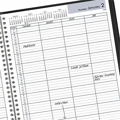 AT-A-GLANCE DayMinder Four-Person Group Daily Appointment Book, 11 x 8, Black Cover, 12-Month (Jan to Dec): 2026 (G56000)