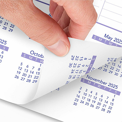 At-A-Glance Wall Calendar (PM128)