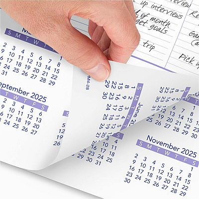 At-A-Glance Wall Calendar (PM428)