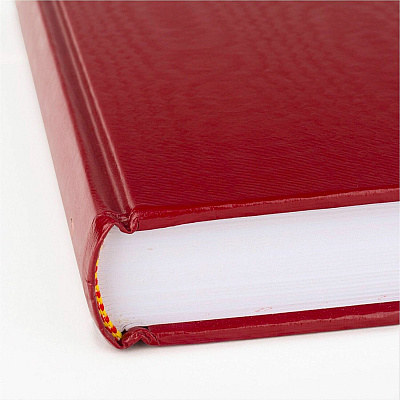 AT-A-GLANCE Standard Diary Daily Diary, 2026 Edition, Medium/College Rule, Red Cover, (200) 9.5 x 7.5 Sheets (SD37413)