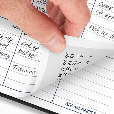 At-A-Glance DayMinderPlanner (SK200)