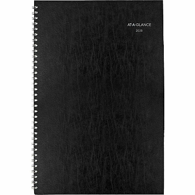 At-A-Glance DayMinderPlanner (SK200)