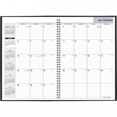 AT-A-GLANCE DayMinder Monthly Planner (SK200)