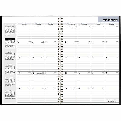 At-A-Glance DayMinderPlanner (SK200)