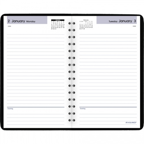 AT-A-GLANCE DayMinder Daily Planner (SK4600)