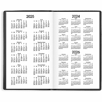 AT-A-GLANCE DayMinder Pocket-Sized Monthly Planner, Unruled Blocks, 6 x 3.5, Black Cover, 14-Month: Dec 2025 to Jan 2027 (SK5300)
