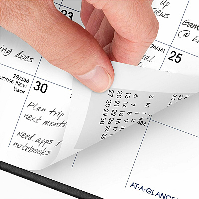 AT-A-GLANCE DayMinder Pocket-Sized Monthly Planner, Unruled Blocks, 6 x 3.5, Black Cover, 14-Month: Dec 2025 to Jan 2027 (SK5300)
