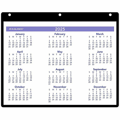 AT-A-GLANCE Monthly Desk/Wall Calendar with Plastic Backboard and Bonus Pages, 11 x 8, White/Violet/Red Sheets, 12-Month (Jan-Dec): 2026 (SK800)