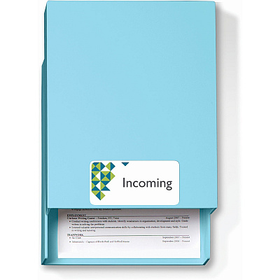 Avery Mini-Sheets Shipping Label (AVE2163)