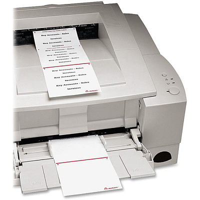 Avery File Folder Labels (AVE2181)