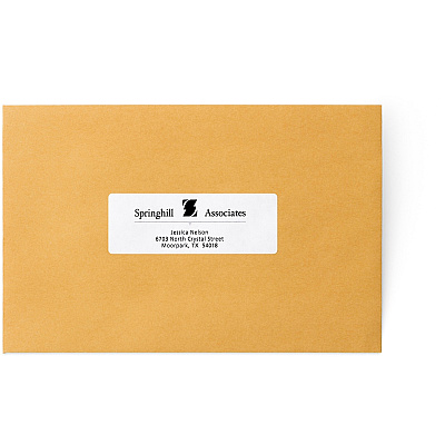 Avery Address Label (AVE4014)