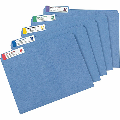 Avery Extra-Large File Folder Labels (AVE5026)