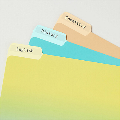 Avery Clear Top Tab Filing Labels (AVE5029)
