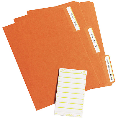 Avery Permanent File Folder Labels (AVE05209)
