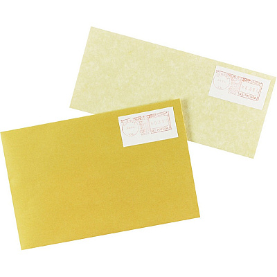 Avery Address Label (AVE05288)
