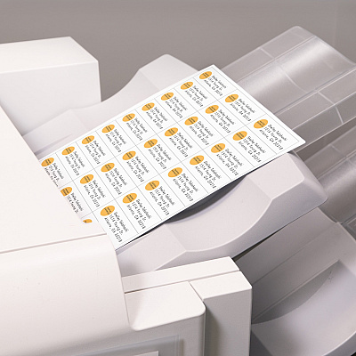 Avery Address Label (AVE5311)