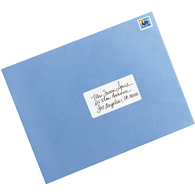 Avery Removable ID Labels (AVE05444)