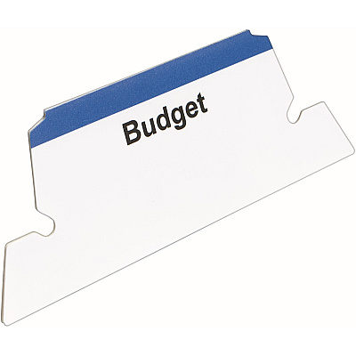 Avery Print/Write On Hanging File Tabs (AVE5567)