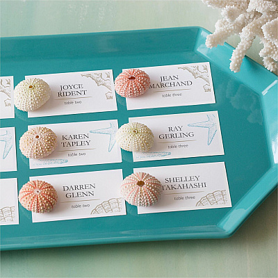 Avery Clean Edge Business Cards (AVE5870)