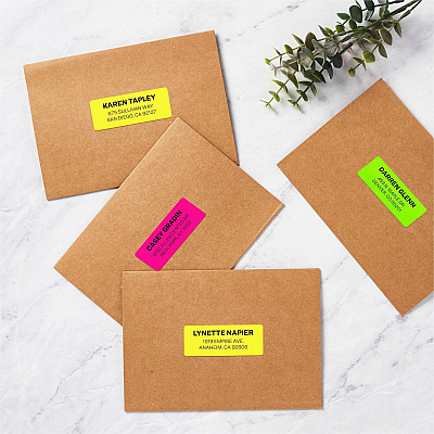 Avery Shipping Labels (AVE5979)