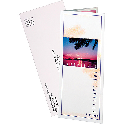Avery Tri-Fold Brochures - 2-Sided Printing (AVE8324)
