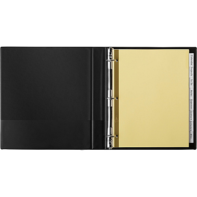 Avery Big Tab Insertable Dividers - Reinforced Gold Edge (AVE11112)