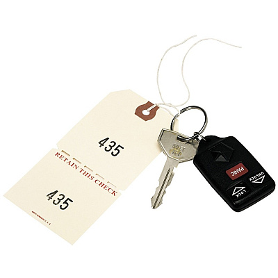 Avery Duplicate Auto Park Tags, Manila, Strung, 4-3/4" x 2-3/8" , 500 Tags (AVE18670)