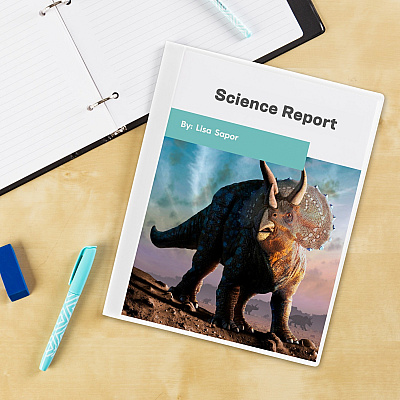 Avery White Presentation Book (AVE47671)