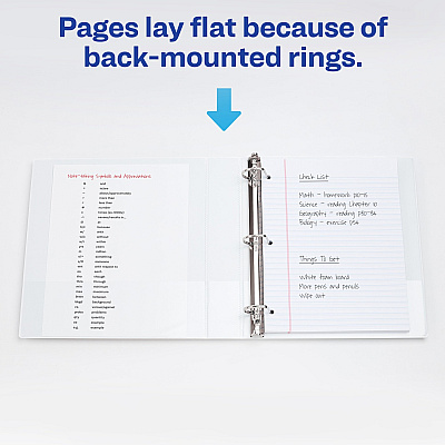 Avery Heavy-Duty View 3 Ring Binder (AVE79195)